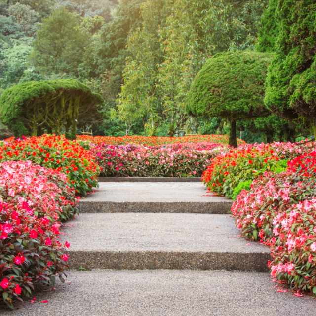 Flower Garden