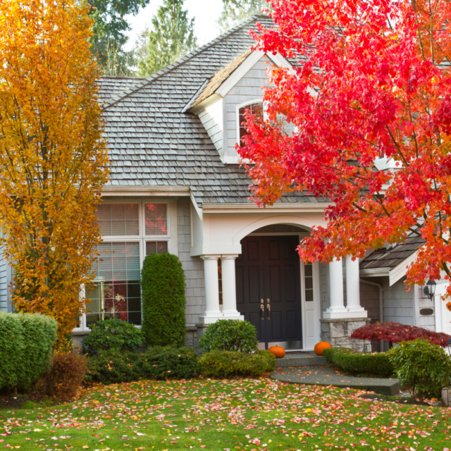 Yard & Lawn Clean-up Services in Raleigh, NC